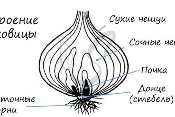 Кракен дарксайд