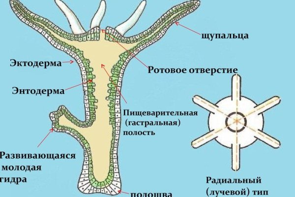 Кракен ссылка официальная в тор